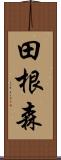 田根森 Scroll