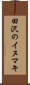 田沢のイヌマキ Scroll