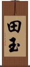 田玉 Scroll