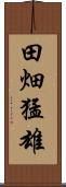 田畑猛雄 Scroll