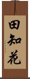 田知花 Scroll