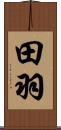 田羽 Scroll