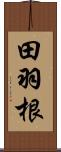 田羽根 Scroll