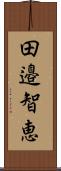 田邉智恵 Scroll