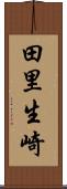 田里生崎 Scroll