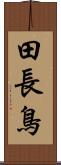 田長鳥 Scroll