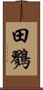 田鷚 Scroll