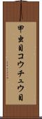 甲虫目 Scroll