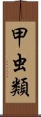 甲虫類 Scroll