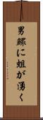 男鰥に蛆が湧く Scroll
