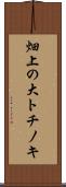 畑上の大トチノキ Scroll