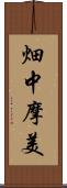 畑中摩美 Scroll