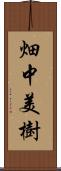 畑中美樹 Scroll