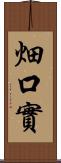 畑口實 Scroll