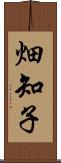 畑知子 Scroll