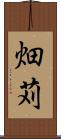 畑苅 Scroll