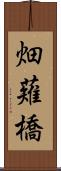 畑薙橋 Scroll
