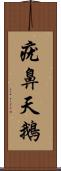 疣鼻天鵝 Scroll