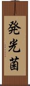 発光菌 Scroll
