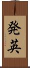 発英 Scroll