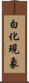 白化現象 Scroll