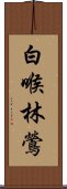 白喉林鶯 Scroll