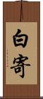 白寄 Scroll