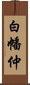 白幡仲 Scroll