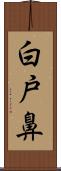 白戸鼻 Scroll