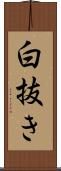 白抜き Scroll