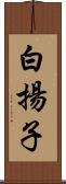 白揚子 Scroll