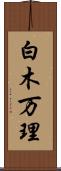 白木万理 Scroll