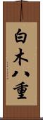 白木八重 Scroll