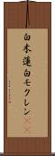 白木蓮 Scroll