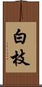 白枝 Scroll