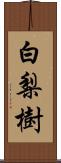 白梨樹 Scroll