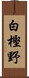 白樫野 Scroll