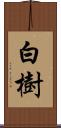 白樹 Scroll