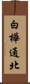白樺通北 Scroll