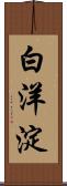 白洋淀 Scroll