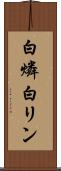 白燐 Scroll