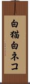 白猫 Scroll