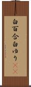 白百合 Scroll