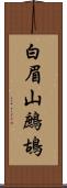 白眉山鷓鴣 Scroll