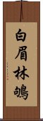 白眉林鴝 Scroll