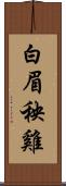 白眉秧雞 Scroll