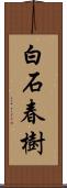 白石春樹 Scroll