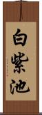 白紫池 Scroll