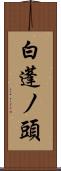 白蓬ノ頭 Scroll