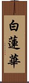 白蓮華 Scroll